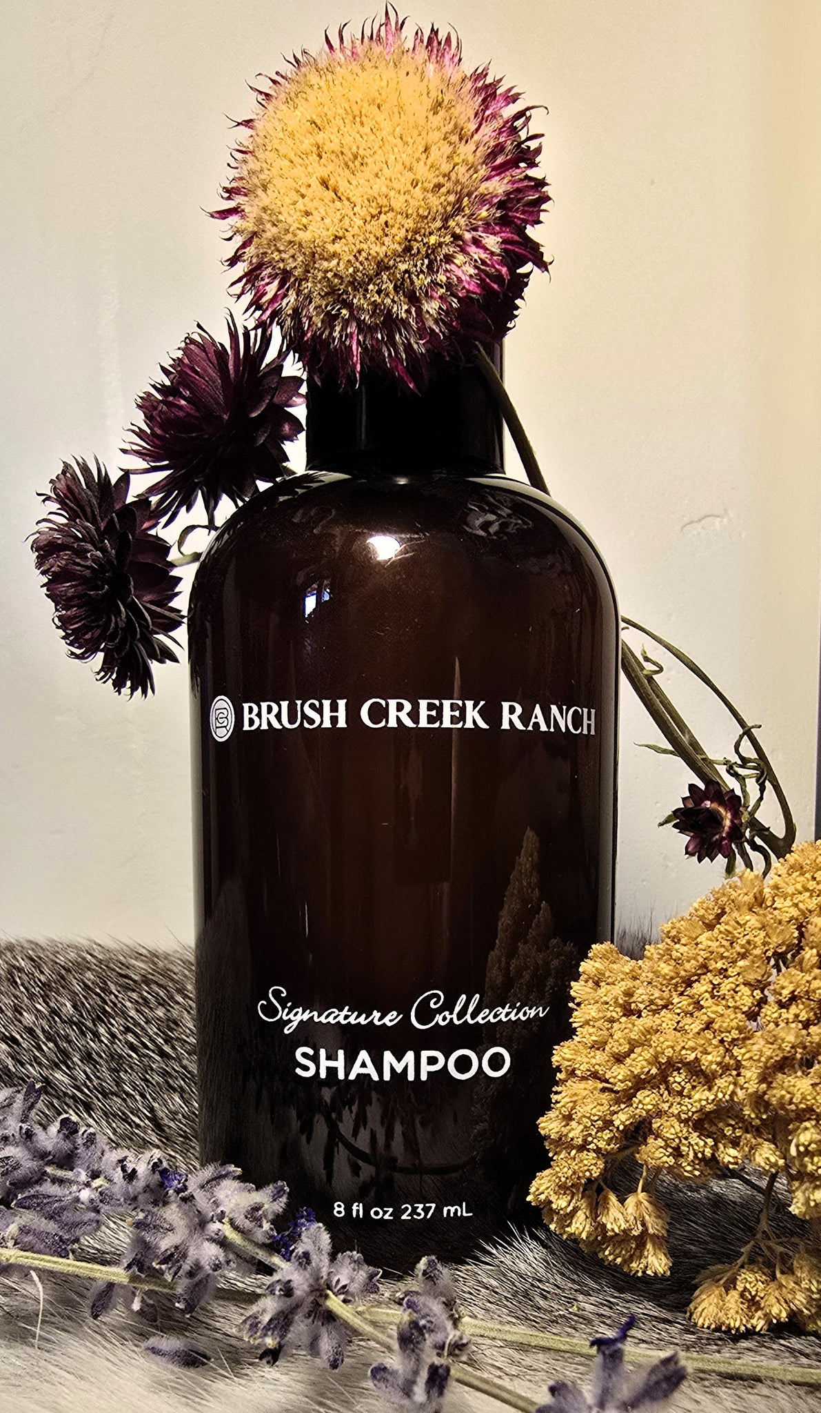 BCR Signature Collection Shampoo