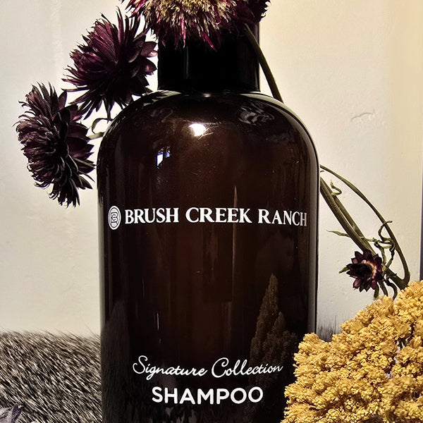 BCR Signature Collection Shampoo