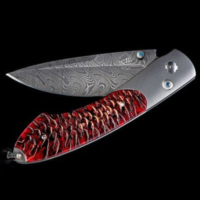 Queensland Pocket Knife